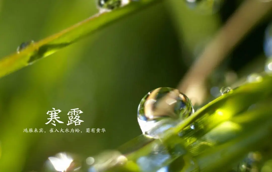 文章附圖